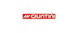 Giuntini